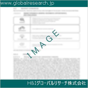 グローバルリサーチ調査資料のイメージ